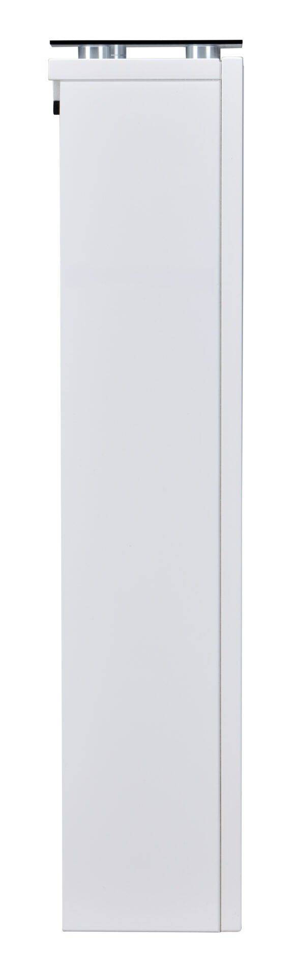 Dimplex Gisella Optiflame Electric Fireplace Modern Elegance