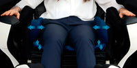 Inada Therapina Robo Luxury Massage Chair