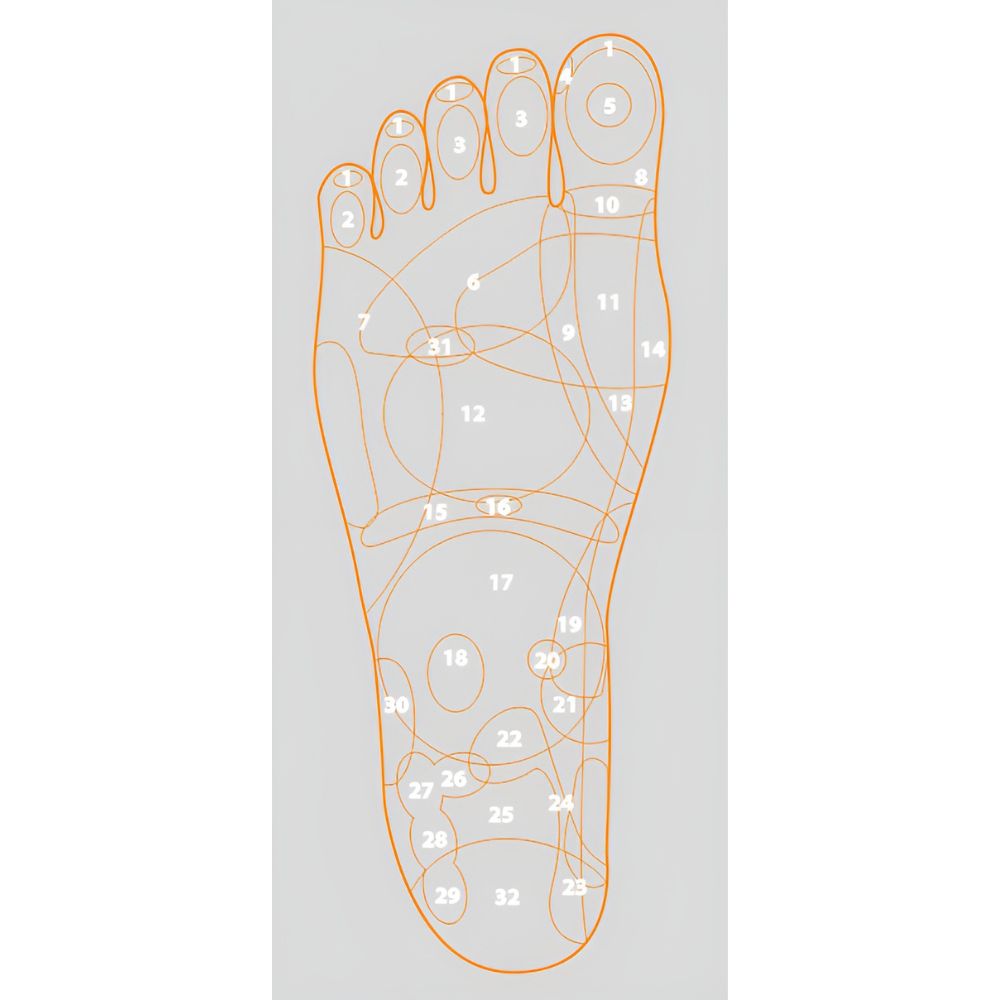 Pro-Wellness PW4D Luxury Leg Massager - Blu Retail Group